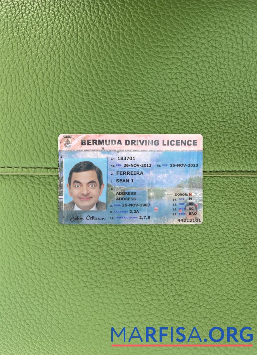 Blank Bermuda driving license photolook download for verification